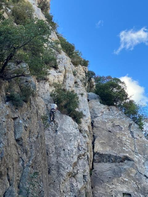 Appartement Le Jutini Caunes-Minervois 外观 照片