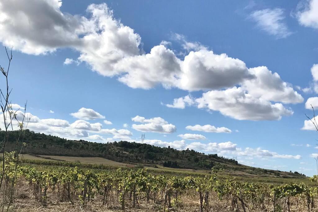 Appartement Le Jutini Caunes-Minervois 外观 照片
